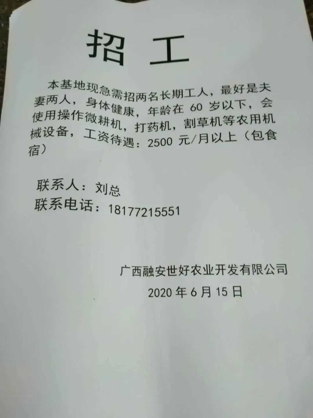 宁果村招聘信息与就业机遇深度探讨