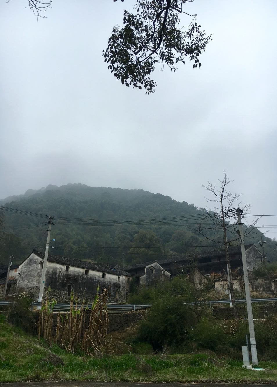 石道乡天气预报更新通知