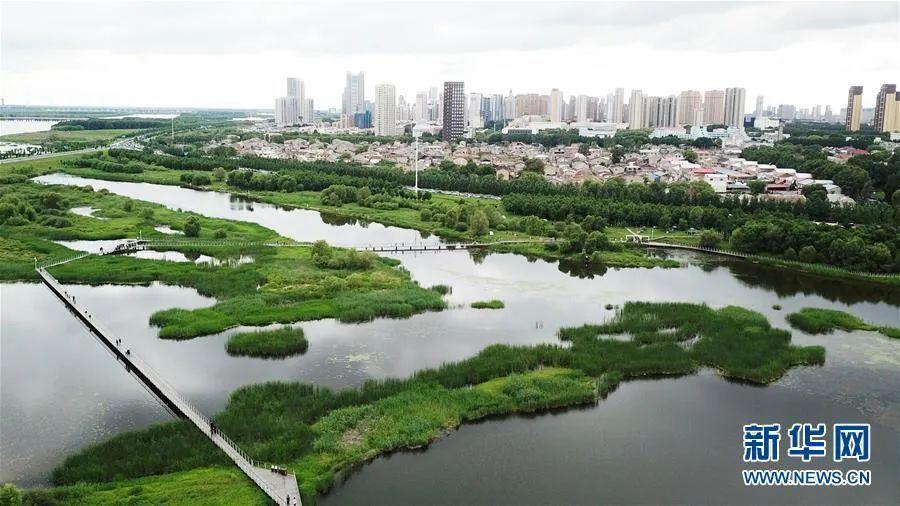 七台河市林业局最新发展规划概览