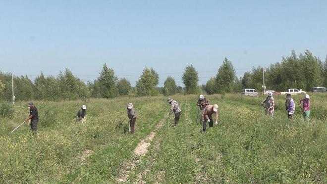 乌额格其牧场最新交通动态报道