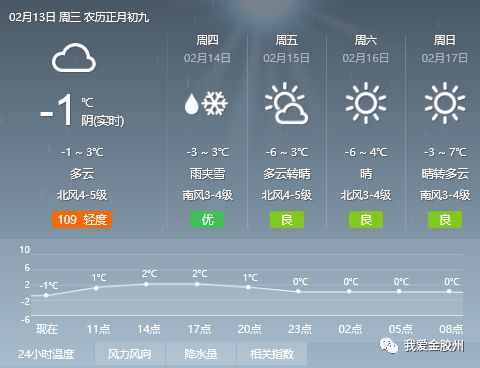 2025年1月28日 第9页