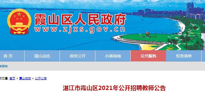 霞山区统计局最新招聘信息全面解析