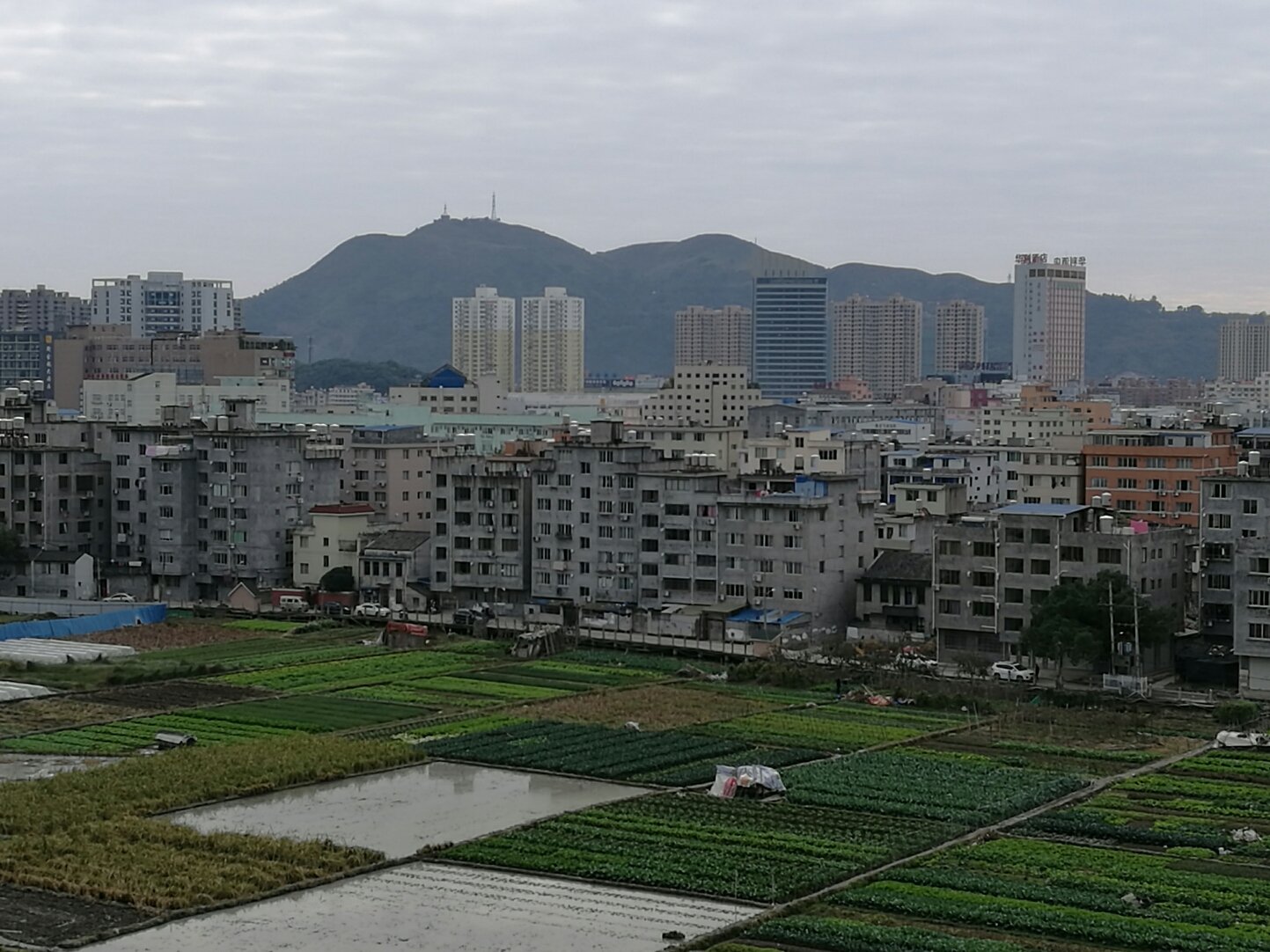 乐成街道天气预报更新通知