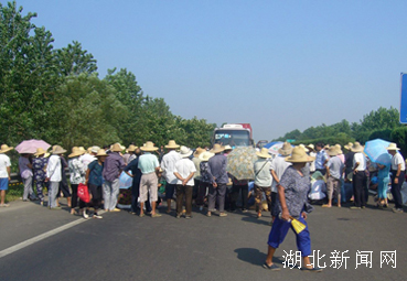 共青农场交通最新动态报道