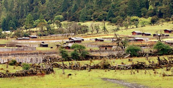 错高村天气预报更新